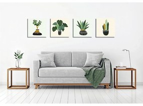 Tablouri 4 buc. 30x30 cm Plants – Wallity