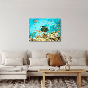Tablou pe sticlă lumii submarine (70x50 cm)