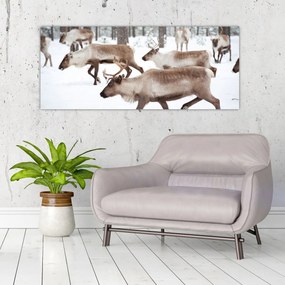 Tablou - Renul (120x50 cm)