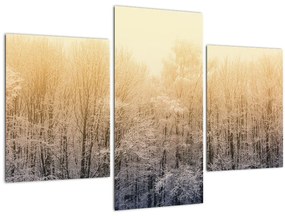 Tablou cu pădure geroasă (90x60 cm)