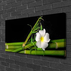 Tablou pe panza canvas Bamboo flori Floral Alb Verde