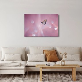 Tablou - Fluture (90x60 cm)