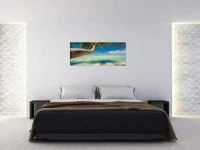 Tablou - Mare curată cu palmier (120x50 cm)