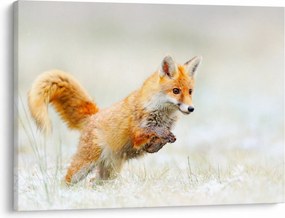Tablou - Vulpe care sare (70x50 cm)