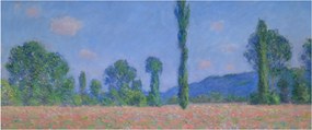 Tablou - Claude Monet, Poppy Field (Giverny), reproducere (120x50 cm)
