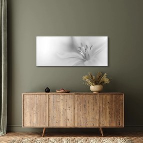 Tablou - Crin delicat (120x50 cm)