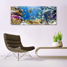 Tablouri acrilice Coral Reef Natura Multi