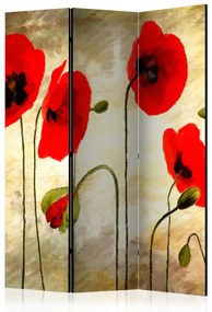 Paravan - Golden Field of Poppies [Room Dividers]