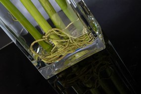 Aranjament floral mediu design LUX AMARYLLIS RADISH WHITE