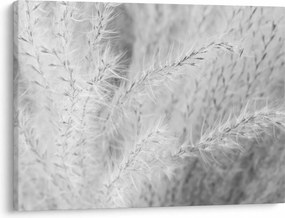 Tablou - Iarbă de pampas N⁰1 (70x50 cm)