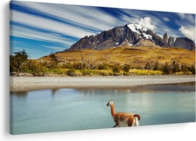 Tablou - Parcul Național Torres del Paine (90x60 cm)