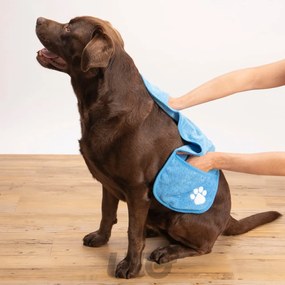 Prosop pentru animale – Love Story