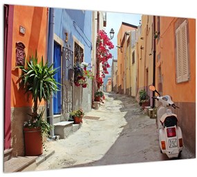 Tablou cu strada din Sardinia (70x50 cm)