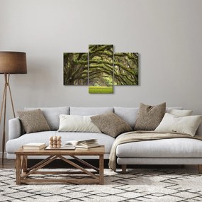 Tablou - Oaks Avenue, Charleston, Carolina de Sud, SUA (90x60 cm)