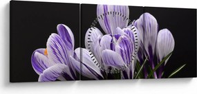 Tablou - Crocus violet (cu ceas) (90x30 cm)