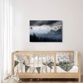 Tablou cu ceță deasupra pădurii (90x60 cm)