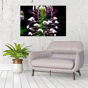 Tablou cu floare (90x60 cm)