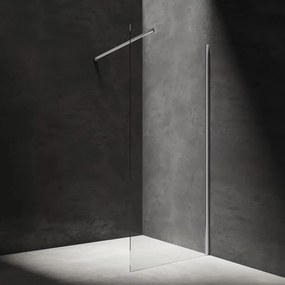 Paravan de dus tip Walk-in Omnires Marina transparent 120 cm