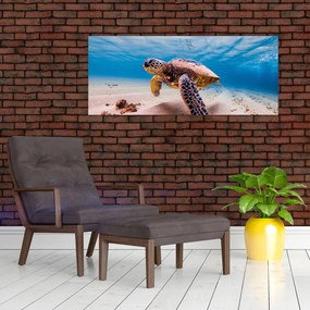 Tablou - Broasca țesstoasă (120x50 cm)