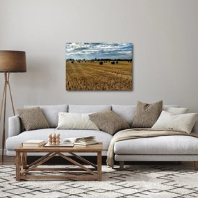 Tablou cu câmp recoltat (70x50 cm)