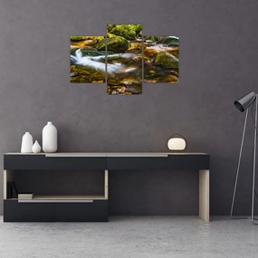Tablou cu părâu (90x60 cm)