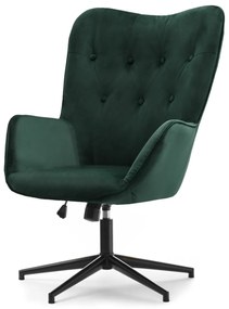 Fotoliu Truni (verde + negru). 1110429