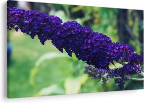Tablou cu floare albastră (90x60 cm)
