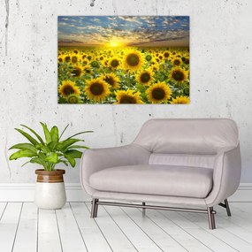 Tablou - Floarea-soarelui la apus de soare (90x60 cm)