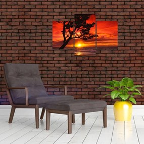 Tablou - Apus de soare (90x60 cm)