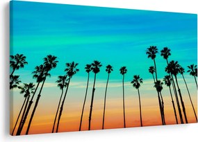 Tablou - California (90x60 cm)