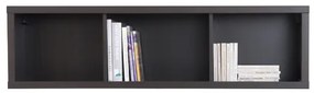 Raft Kaspian SFW/140 (Wenge). 735087