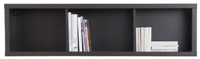 Raft Kaspian SFW/140 (Wenge). Promo -29%. 735087