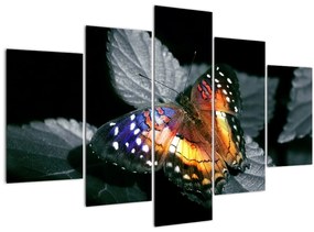 Tablou cu fluture (150x105 cm)