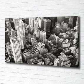 Tablou pe pânză New york pasăre de zbor