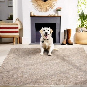 Covor de exterior bej 120x170 cm Zagora – Ayyildiz Carpets
