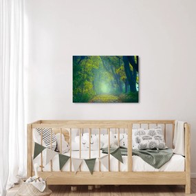 Tablou cu drum dea lungul cu copaci (70x50 cm)