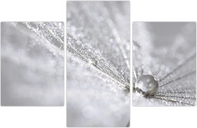 Tablou - Picătură de apă (90x60 cm)