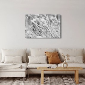 Tablou - Ramuri înzăpezite (90x60 cm)