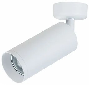 Spot directionabil aplicat de tavan/plafon Focus MYC017CW-01W
