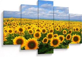 Tablou cu lan de floarea soarelui (150x105 cm)