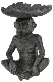 Maimuta neagra cu frunza h16 cm