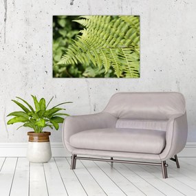 Tablou - Frunză de ferigă (70x50 cm)