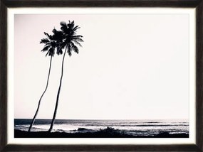 Tablou Framed Art Tropical Dawn