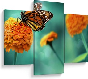 Tablou cu fluture (90x60 cm)