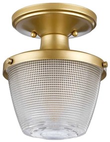 Plafonieră pentru baie Quoizel QZ-DUBLIN-SF-PNBR DUBLIN 1xE27/40W/230V IP44 auriu
