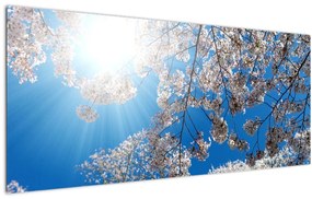 Tablou - Flori de cireș (120x50 cm)