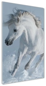 Tablou pe pe sticlă cal alb în galop