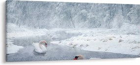 Tablou cu lebăde (120x50 cm)