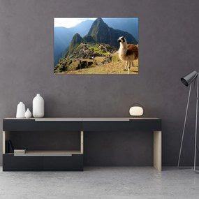 Tablou - Lama și Machu Picchu (90x60 cm)