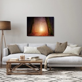 Tablou pe sticlă cu pădurea toamna în ceață (70x50 cm)